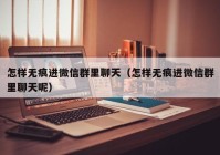 怎样无痕进微信群里聊天（怎样无痕进微信群里聊天呢）