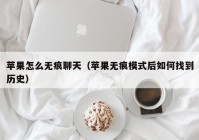 苹果怎么无痕聊天（苹果无痕模式后如何找到历史）