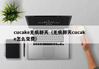 cucake无痕聊天（无痕聊天cucake怎么交费）