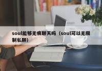 soul能够无痕聊天吗（soul可以无限制私聊）